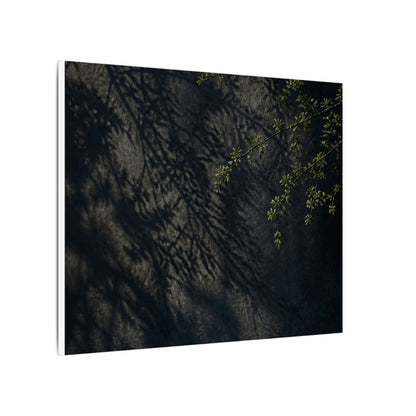 Overcast Shadow Play Canvas Art - Dark Japandi Seijaku