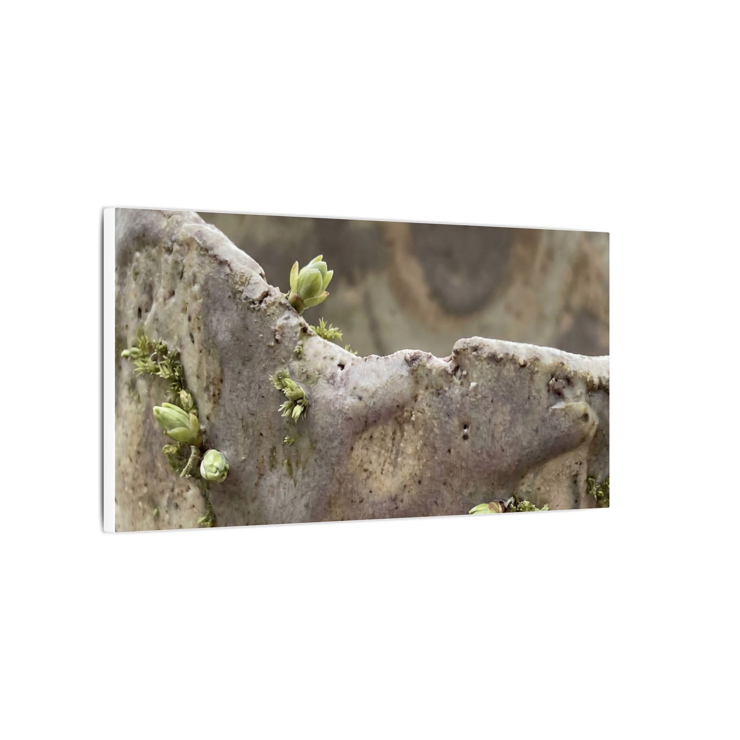 Overcast Ceramic Bowl Canvas Art - Japandi Fukinsei