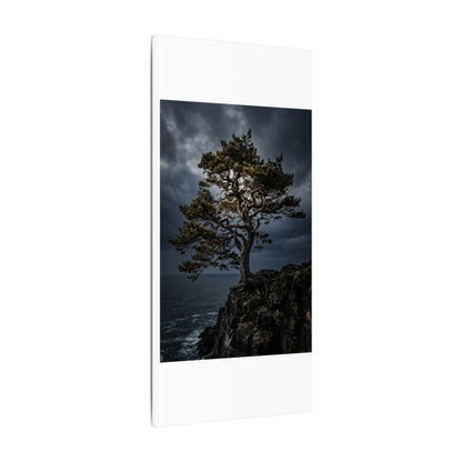 Dappled Pine Tree Canvas Art - Dark Japandi Fukinsei