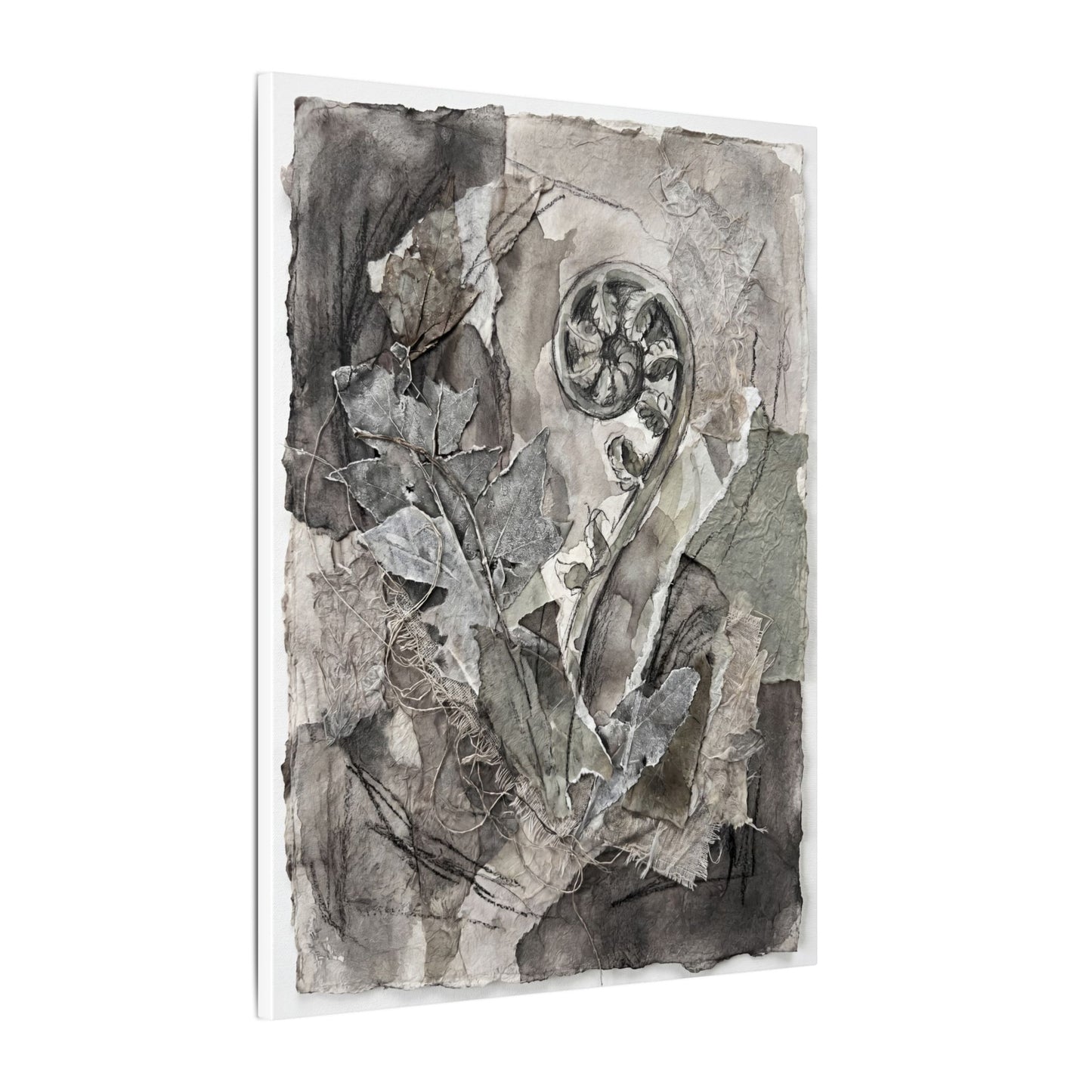 Japandi Fern Unfurling in Overcast | Texture Canvas Art