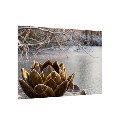 Lotus Flower Gold Repair Canvas Art | Beautiful Kintsugi Art