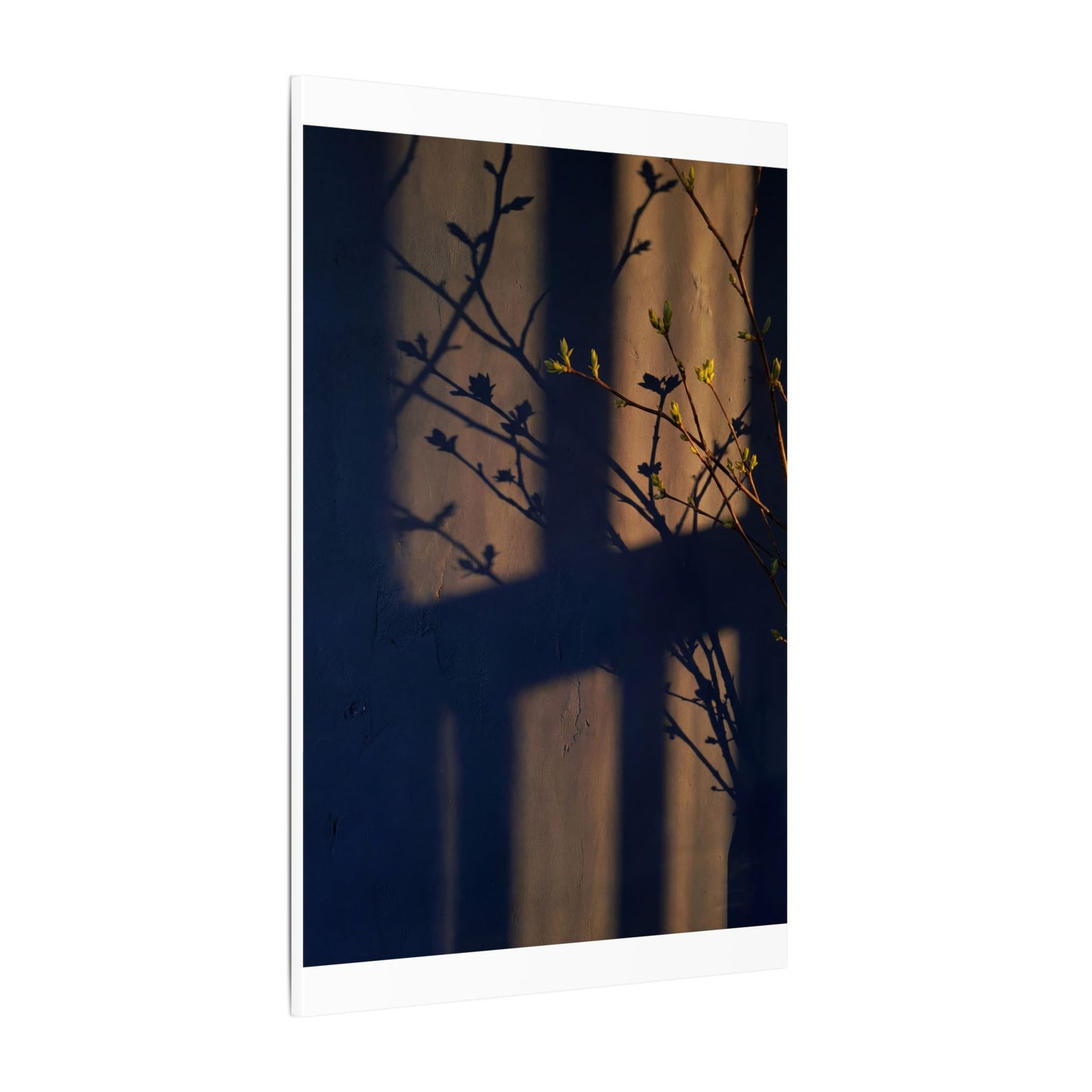 Shadow Play Canvas Art | Spring Dark Japandi Shadow Zen Art