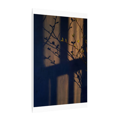 Shadow Play Canvas Art | Spring Dark Japandi Shadow Zen Art