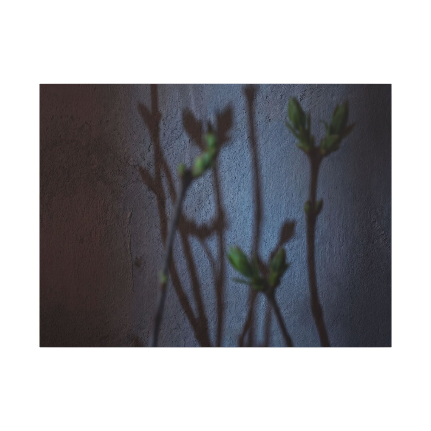 Shadow Play Spring Canvas Art | Dark Japandi Sophisticated Design