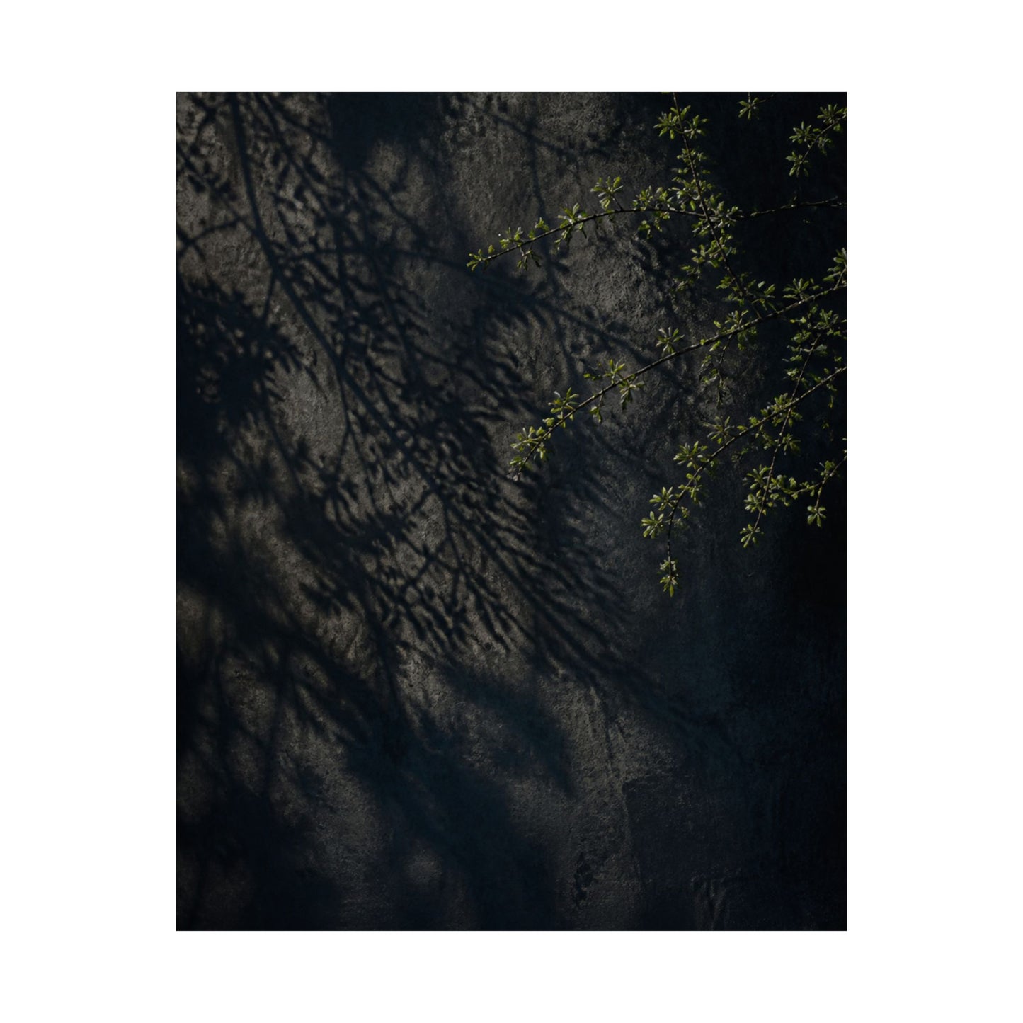 Dark Japandi Shadow Play in Overcast | Moody Minimal Wall Art Print