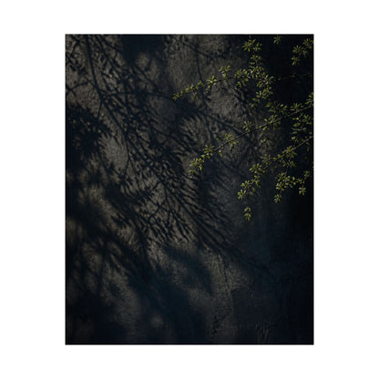 Dark Japandi Shadow Play in Overcast | Moody Minimal Wall Art Print