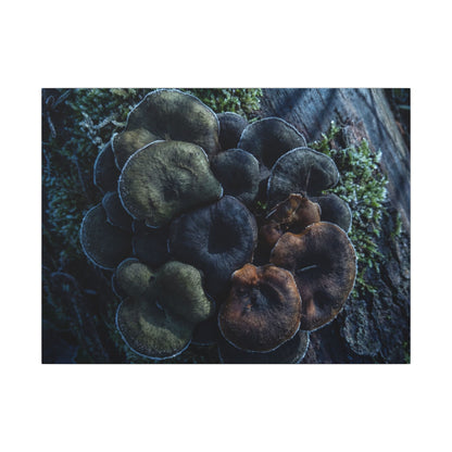 Wild Mushrooms Moody Minimal Canvas Art | Moody Dark Japandi Art Art Print