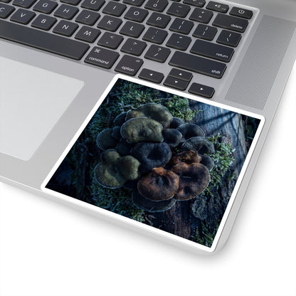 Wild Mushrooms Sticker | Winter Dark Japandi Moody Minimal Art Art Print