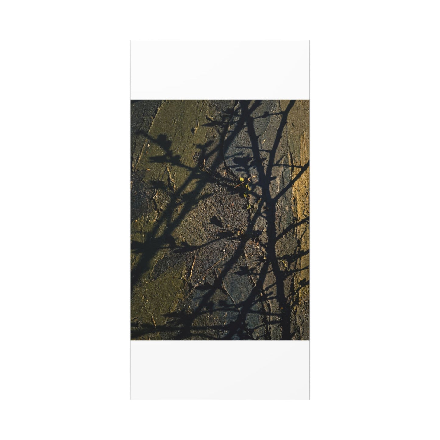 Kanso Shadow Play Canvas Art - Dark Japandi Dark Texture