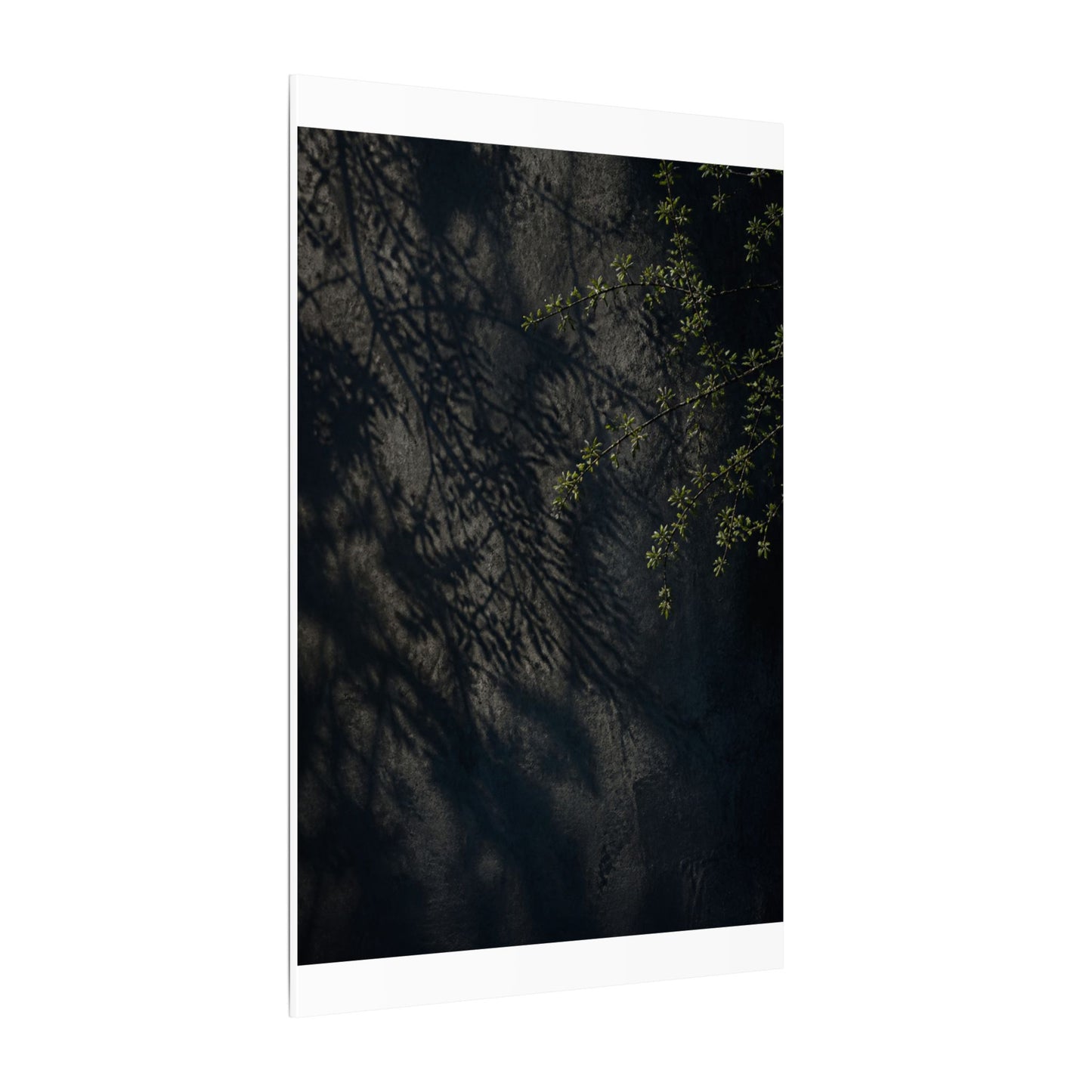 Overcast Shadow Play Canvas Art - Dark Japandi Seijaku