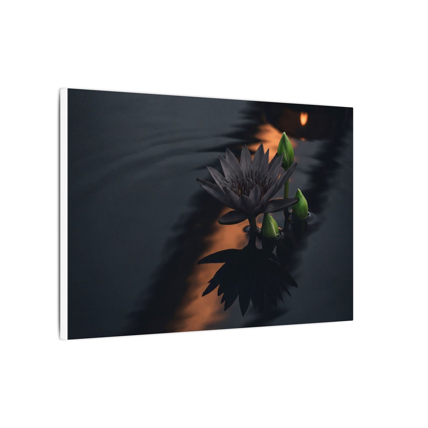 Seijaku Lotus Flower Canvas Art - Dark Japandi Shadow Zen