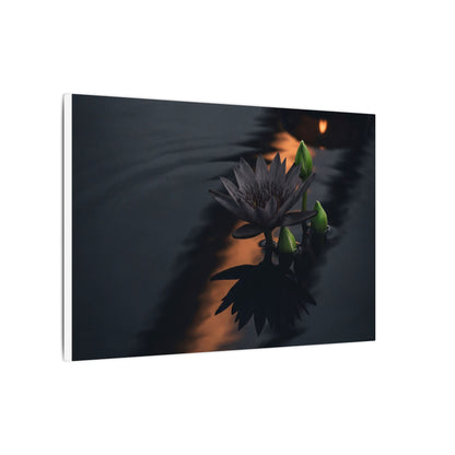 Seijaku Lotus Flower Canvas Art - Dark Japandi Shadow Zen