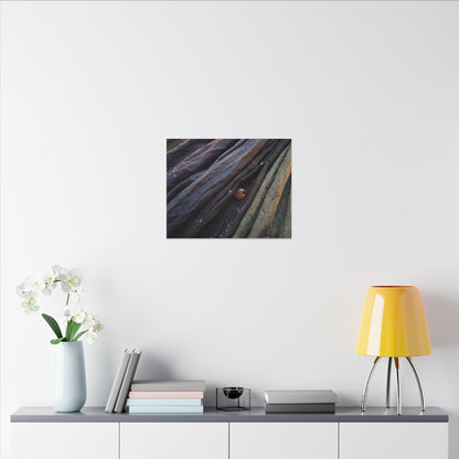 Silk Drape Shadow Zen Canvas Art | Moody Dark Japandi Art