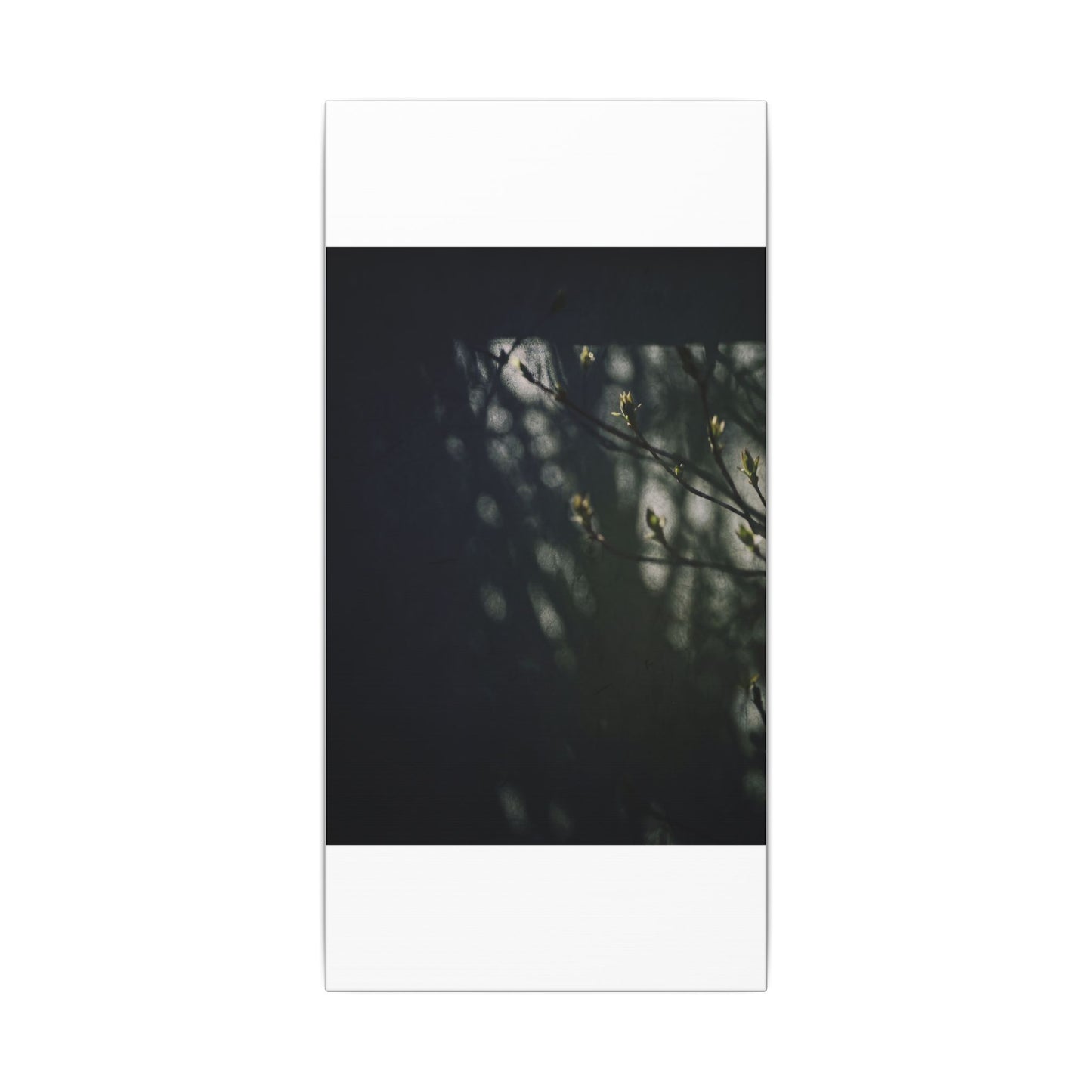 Dark Japandi Shoji Screen in Dappled | Moody Minimal Canvas Art