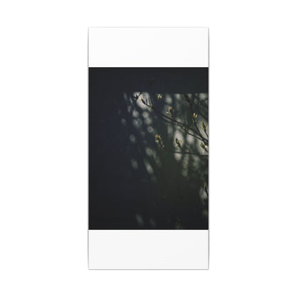 Dark Japandi Shoji Screen in Dappled | Moody Minimal Canvas Art