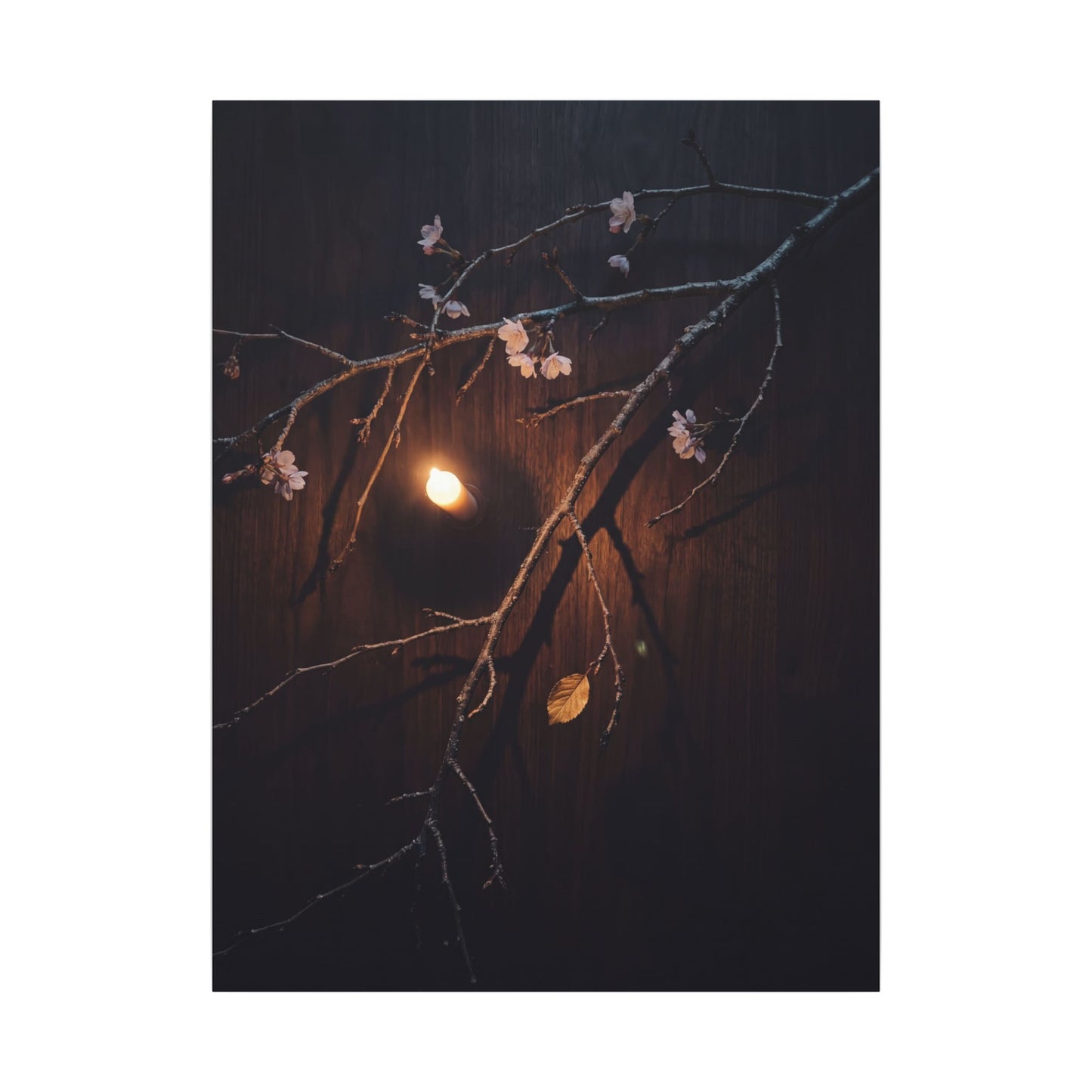Datsuzoku Cherry Blossom Canvas Art - Dark Japandi Moody Minimal
