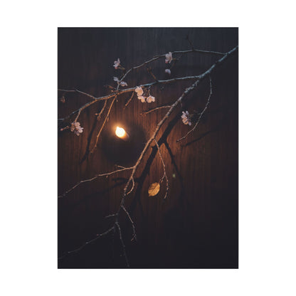 Datsuzoku Cherry Blossom Canvas Art - Dark Japandi Moody Minimal