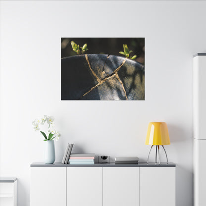 Seijaku Broken Pottery Canvas Art - Dark Japandi Shadow Zen