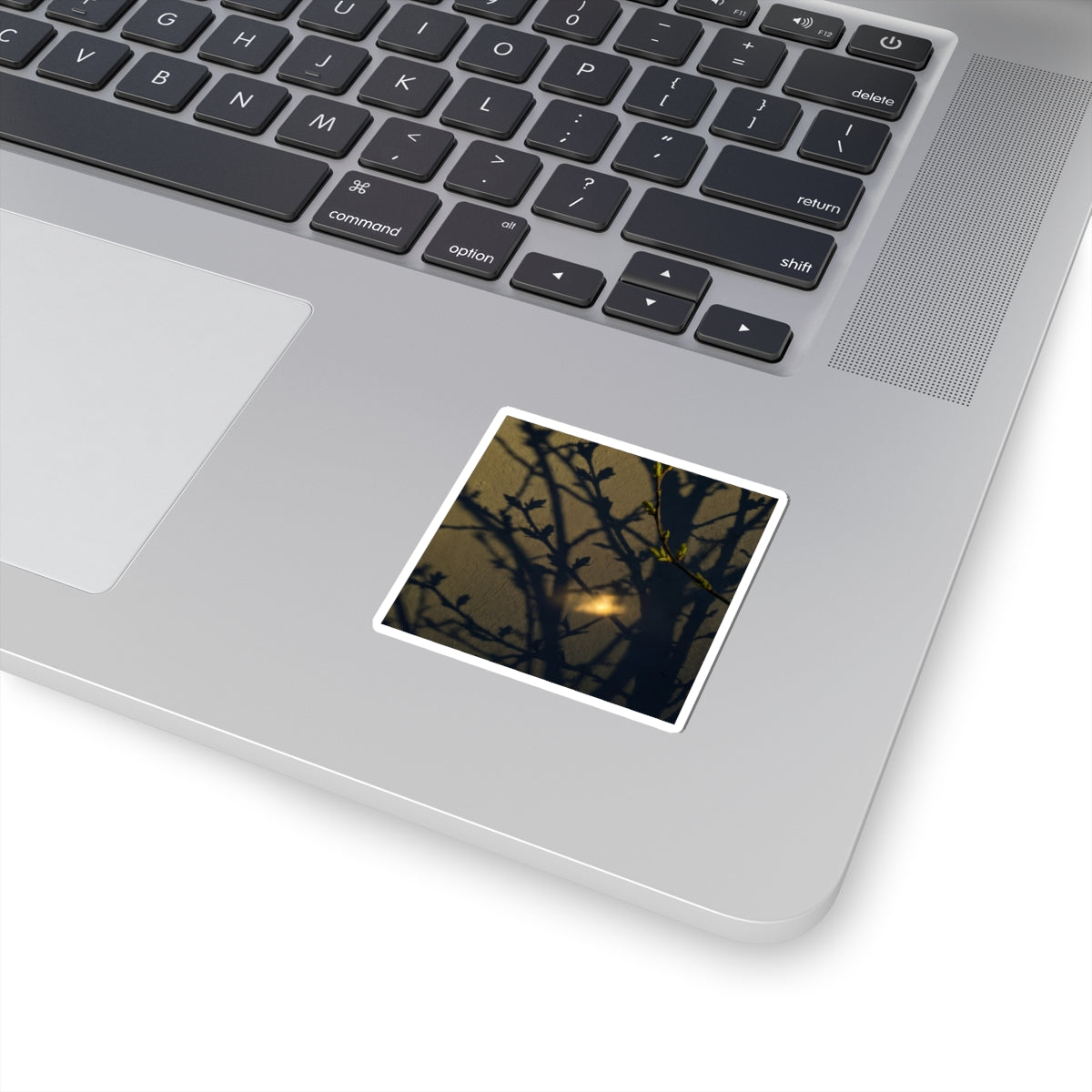 Dark Japandi Shadow Play in Golden Hour | Moody Minimal Sticker