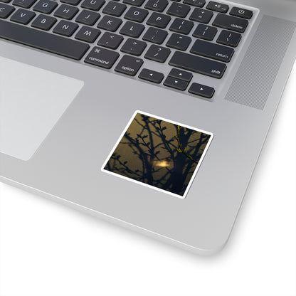 Dark Japandi Shadow Play in Golden Hour | Moody Minimal Sticker