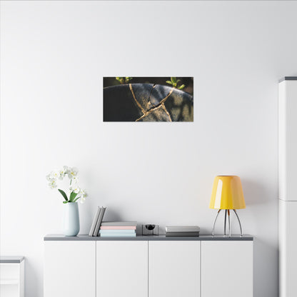 Seijaku Broken Pottery Canvas Art - Dark Japandi Shadow Zen