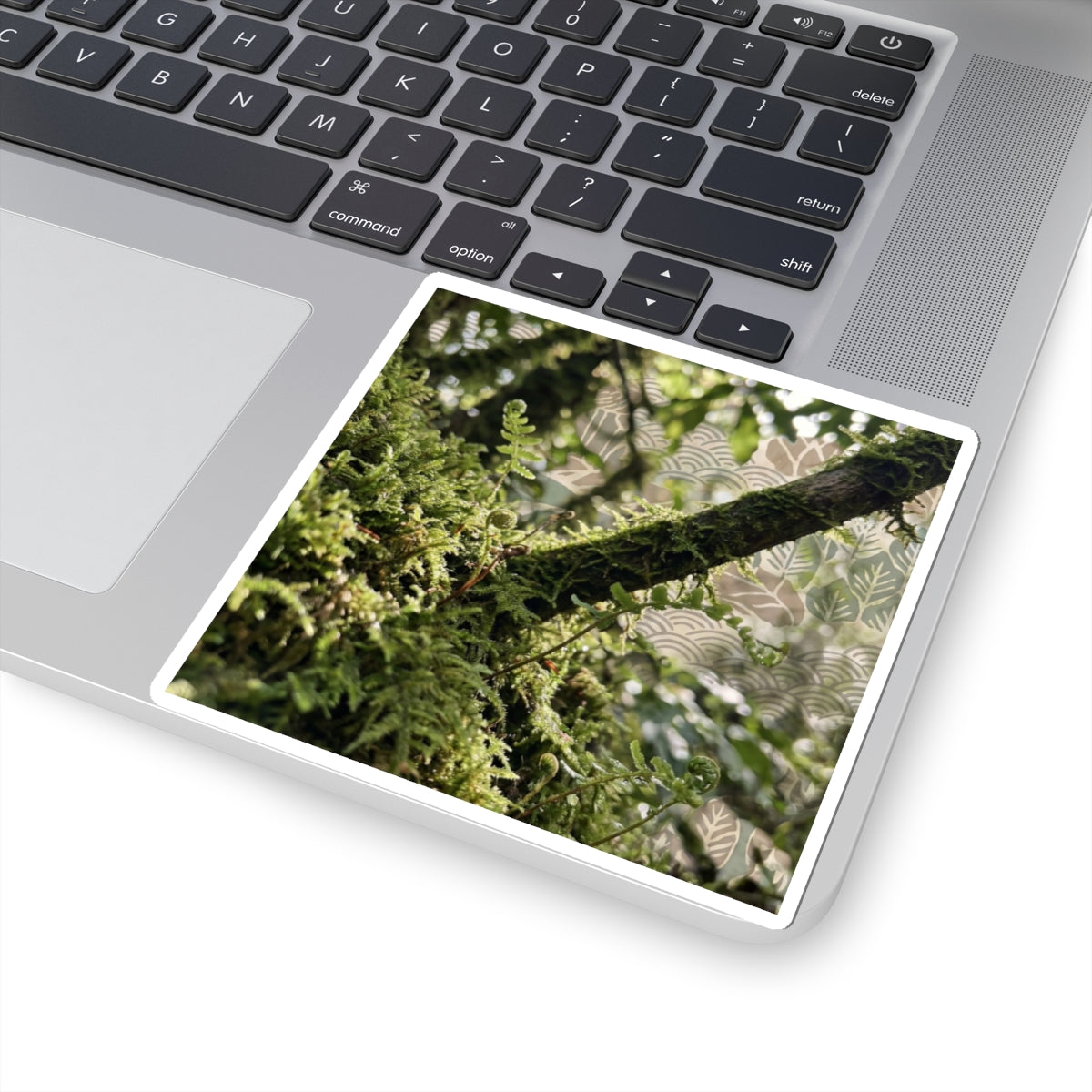 Moss Close Up Spring Sticker | Japandi Earthy Design Art Print