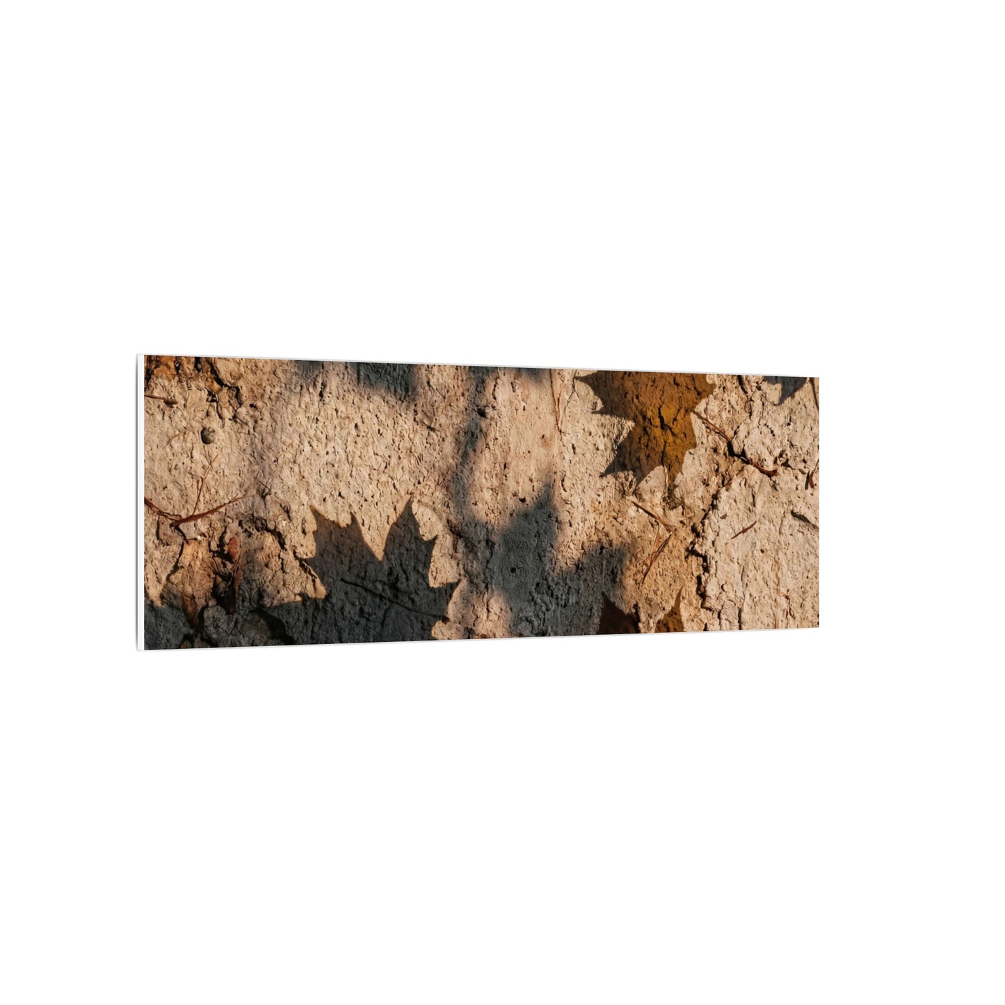 Cozy Shadow Play Canvas Art - Texture Japandi