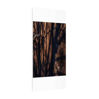 Golden Hour Shadow Play Canvas Art - Dark Japandi Fukinsei