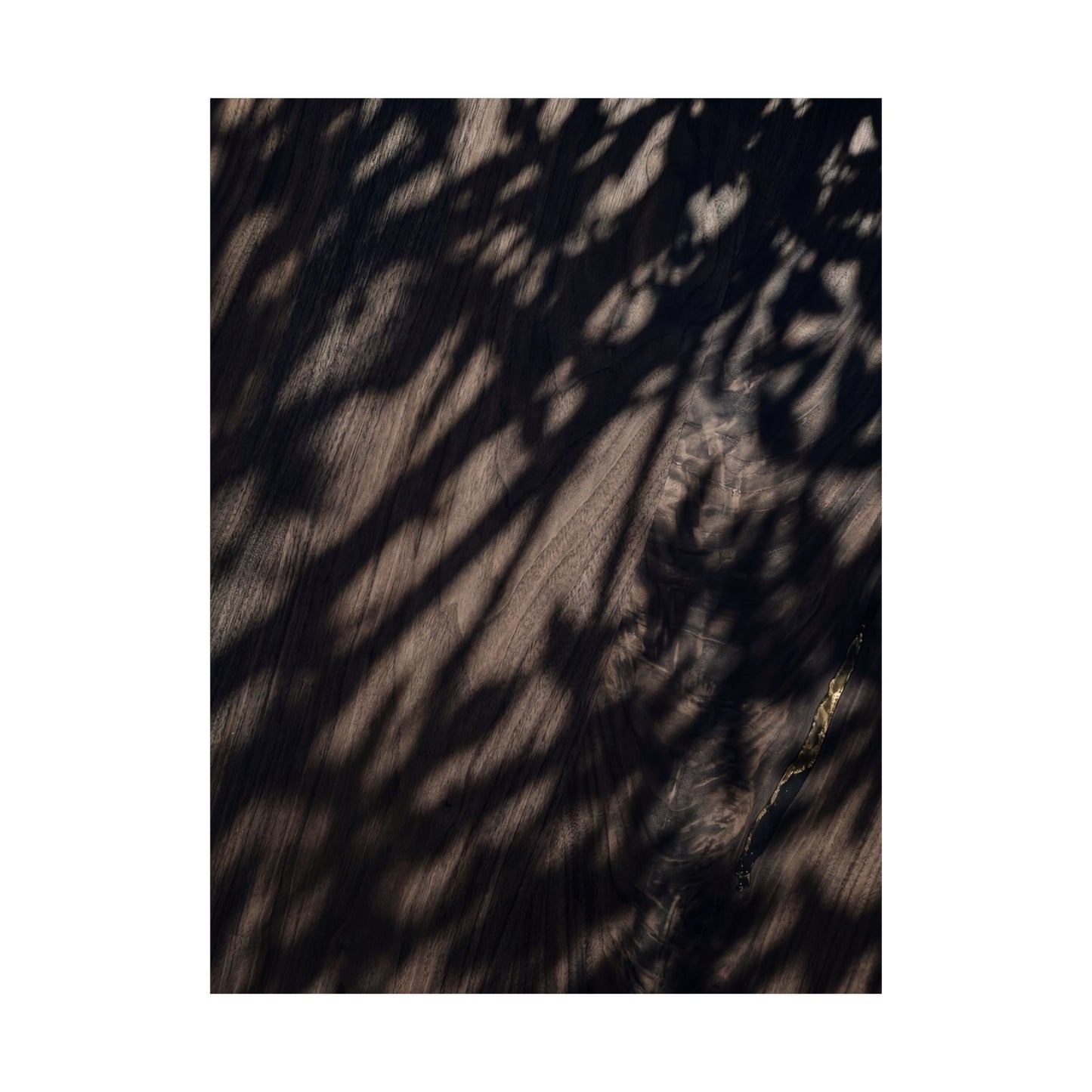 Datsuzoku Shadow Play Wall Art Print - Dark Japandi Shadow Zen
