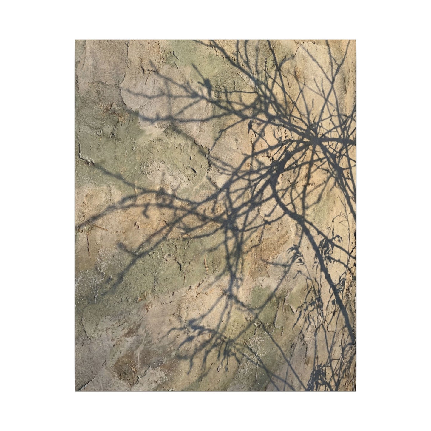 Japandi Shadow Play in Golden Hour | Texture Canvas Art