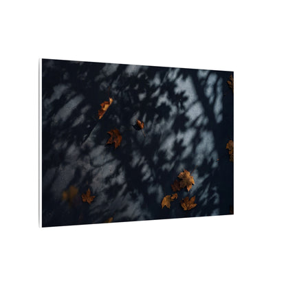 Autumn Shadow Play Shadow Zen Canvas Art | Atmospheric Decor