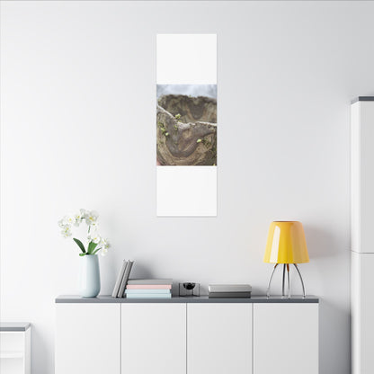Overcast Ceramic Bowl Canvas Art - Japandi Fukinsei