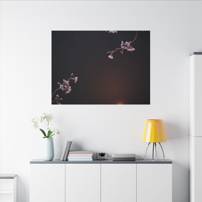 Dark Japandi Cherry Blossom in Candlelight | Moody Minimal Canvas Art