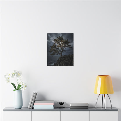 Dappled Pine Tree Canvas Art - Dark Japandi Fukinsei
