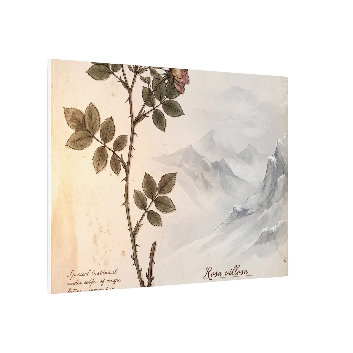 Winter Mountain Mist Herbarium Canvas Art | Earthy Decor