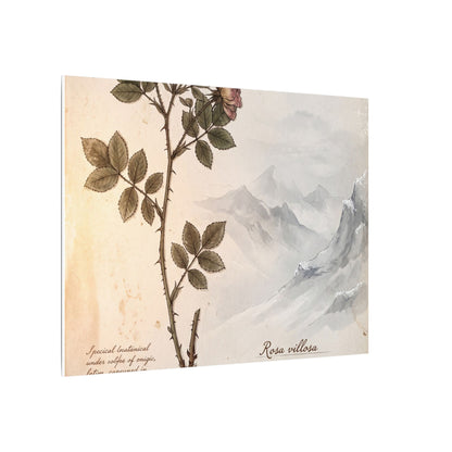 Winter Mountain Mist Herbarium Canvas Art | Earthy Decor