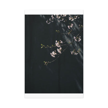 Cherry Blossom Spring Canvas Art | Dark Japandi Sophisticated Design