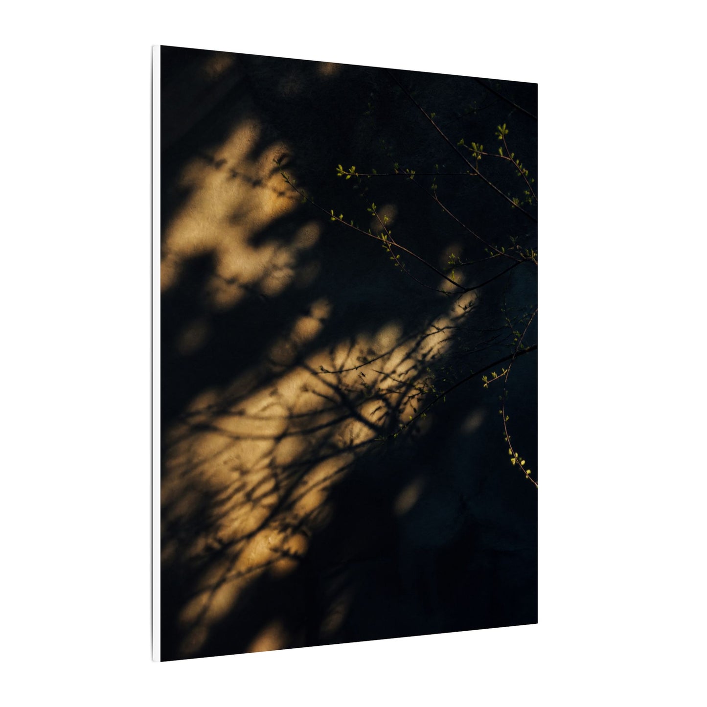 Moody Shadow Play Canvas Art - Moody Minimal Dark Japandi