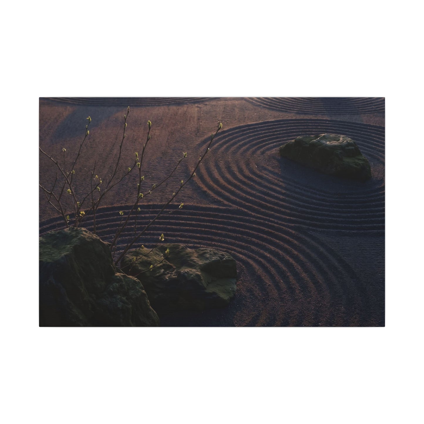 Spring Rock Garden Shadow Zen Canvas Art | Luxurious Decor