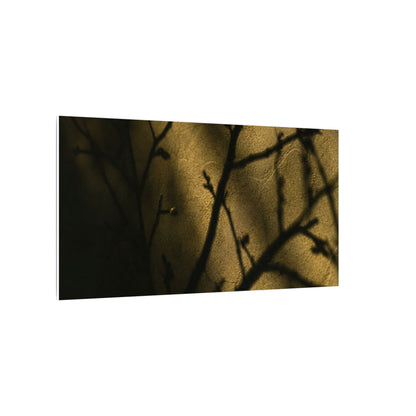 Golden Hour Shadow Play Canvas Art - Dark Japandi Seijaku