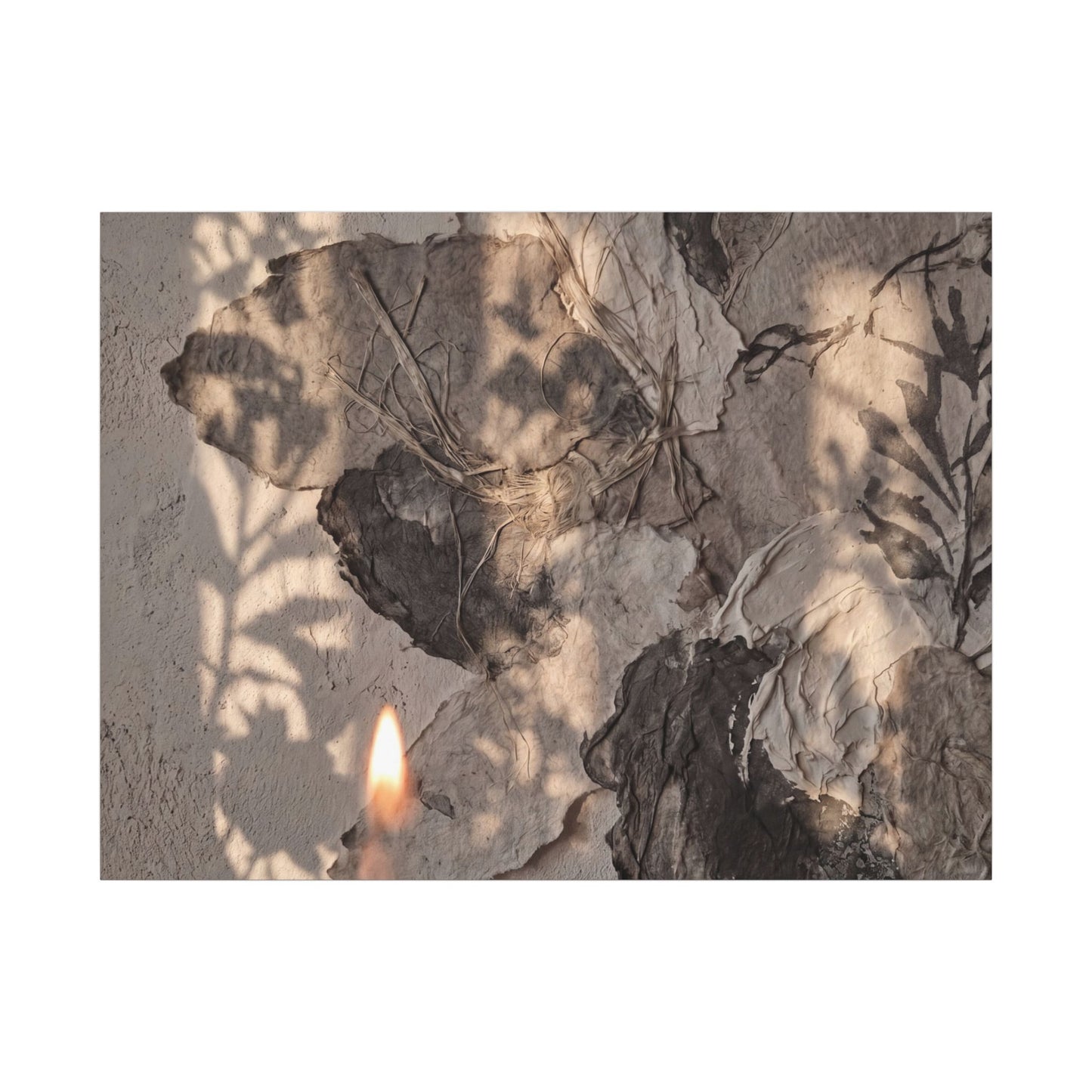 Shadow Play Summer Canvas Art | Japandi Elegant Design