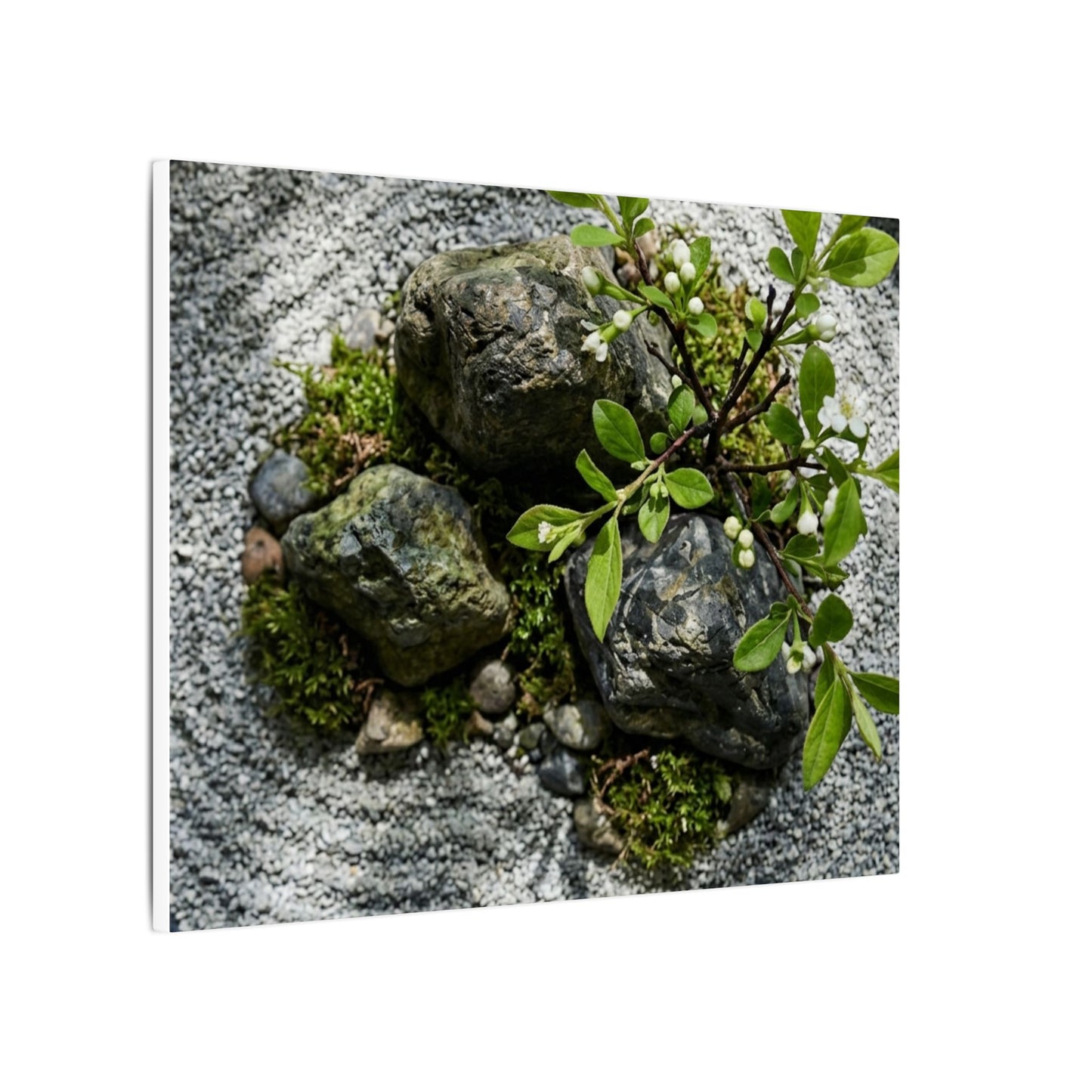 Zen Ceramic Bowl in Dappled | Karesansui Canvas Art