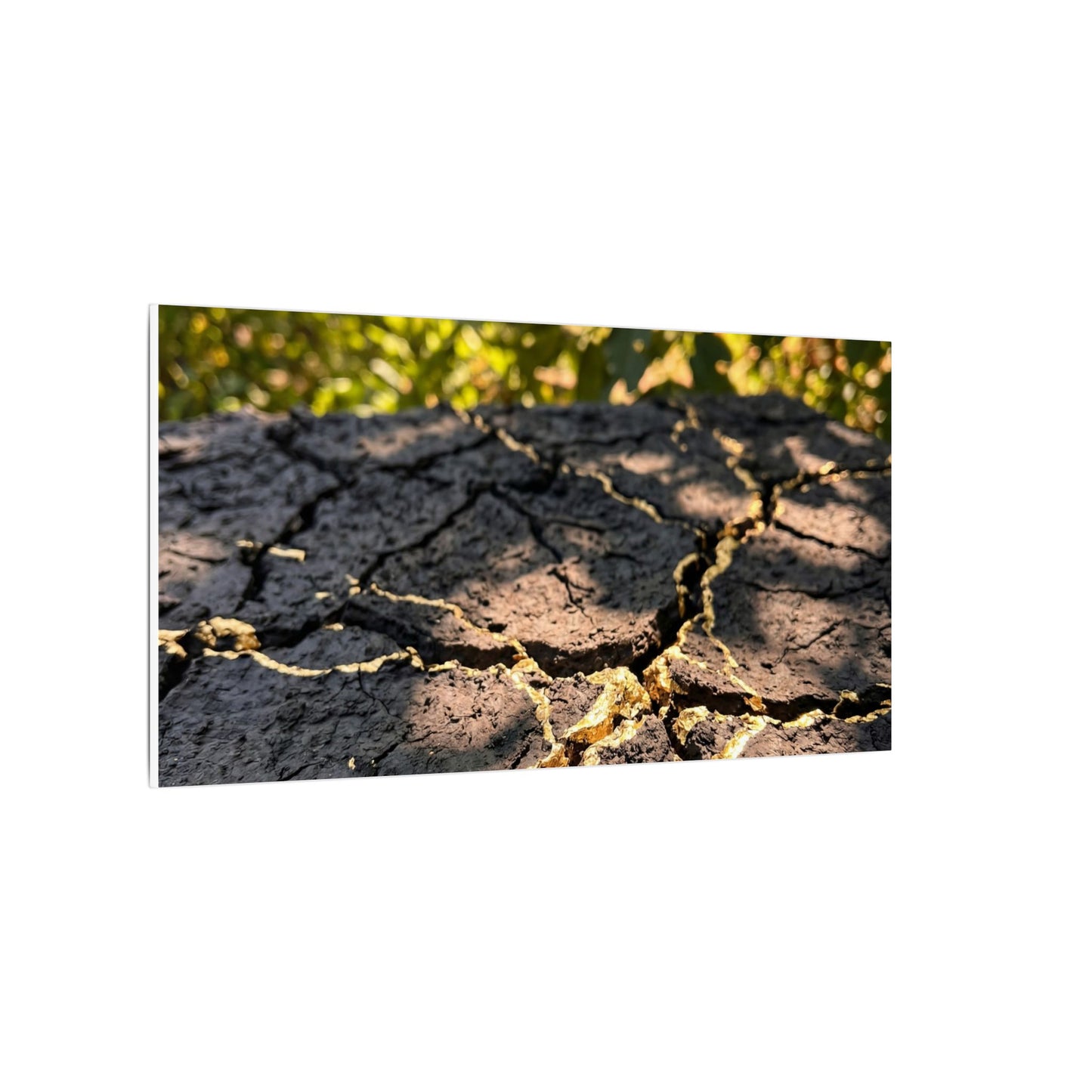 Shibui Cracked Earth Canvas Art - Kintsugi Gold Repair