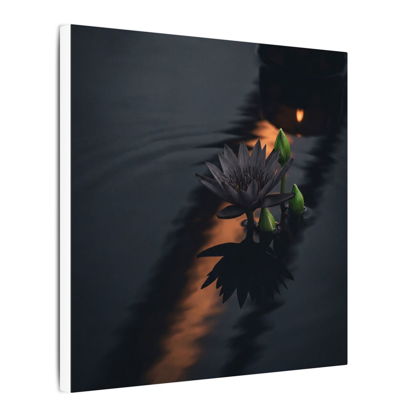 Seijaku Lotus Flower Canvas Art - Dark Japandi Shadow Zen