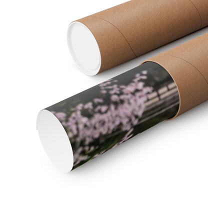 Cherry Blossom Winter Wall Art Print | Dark Japandi Bold Design