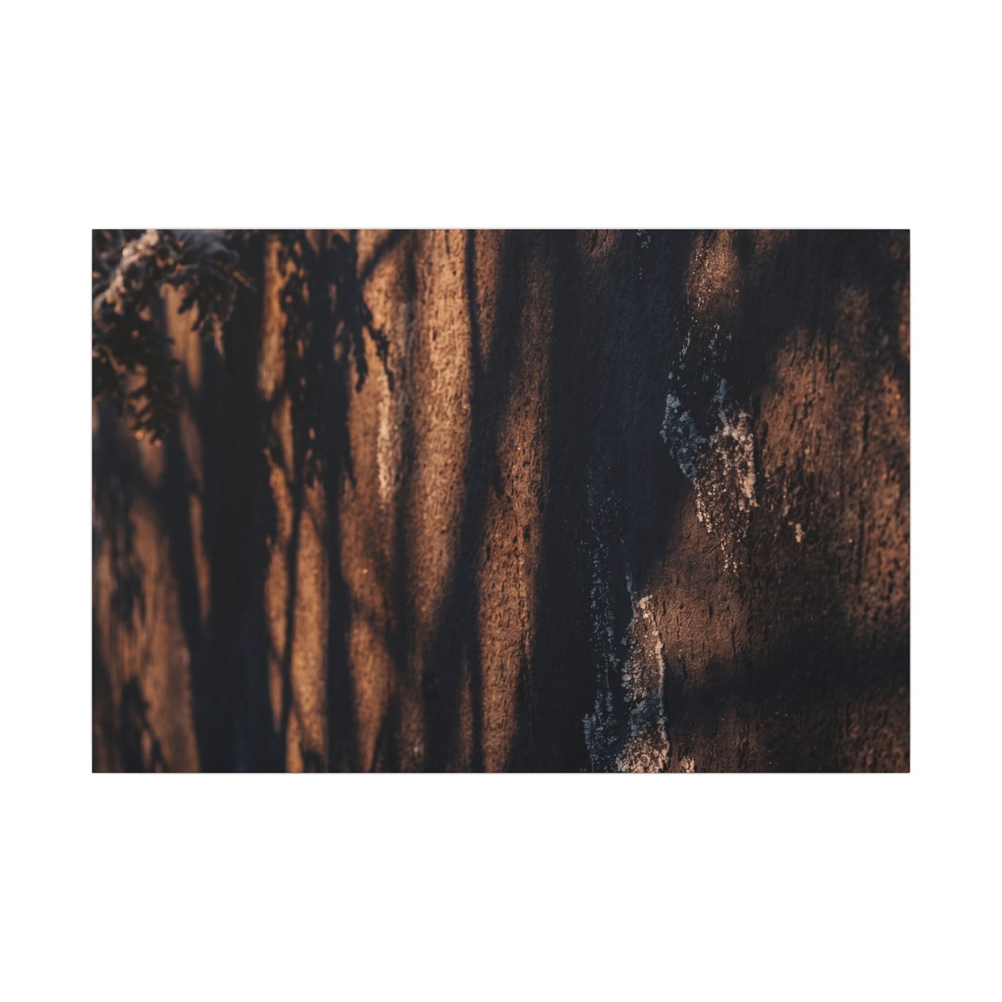 Golden Hour Shadow Play Canvas Art - Dark Japandi Fukinsei Art Print