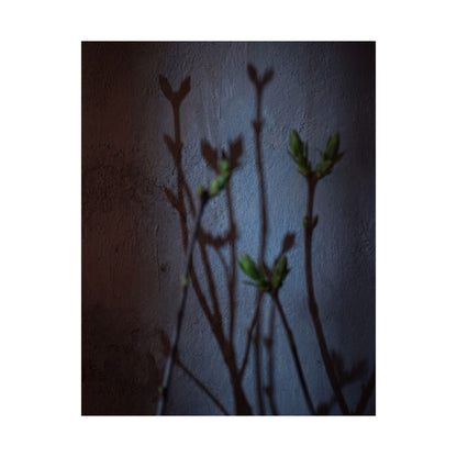 Spring Shadow Play Shadow Zen Wall Art Print | Moody Decor