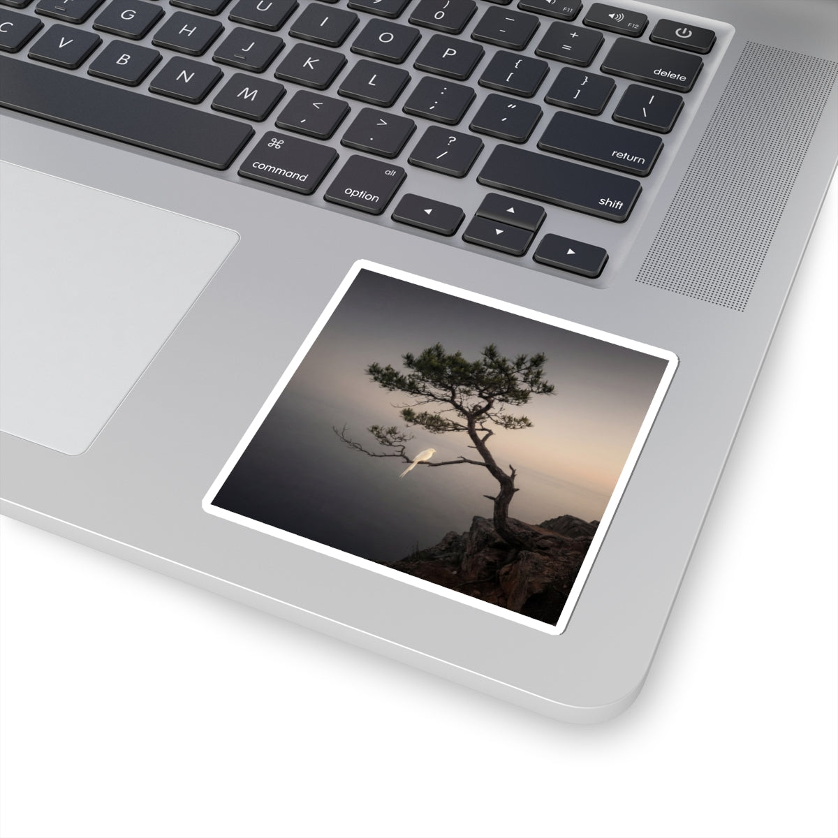 Dark Japandi Pine Tree in Dawn | Moody Minimal Sticker Art Print