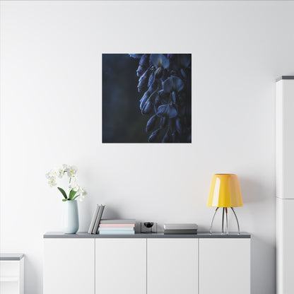 Winter Wisteria Shadow Zen Canvas Art | Atmospheric Decor