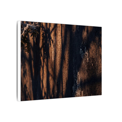 Golden Hour Shadow Play Canvas Art - Dark Japandi Fukinsei